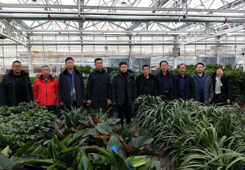 圖為：集團考核領(lǐng)導小組參觀烏蘇花卉市場_副本_副本.jpg
